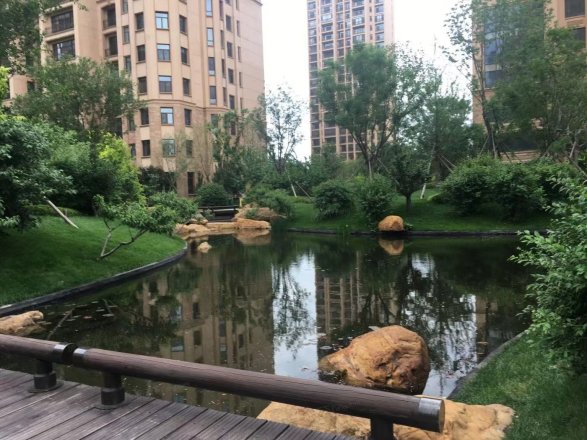 【沈阳沈阳星河湾小区,二手房,租房】- 沈阳房天下