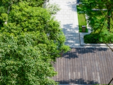 人居越秀紫云府 4室1厅 南