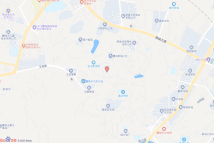 醴资2023-9电子地图