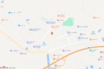 博罗县2022（储备）50号电子地图
