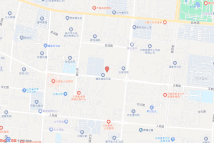 沂南-2019-095-（2）电子地图