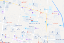 五龙山·中心城电子地图