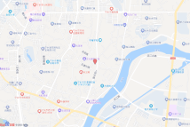 [2023]宁乡市018号电子地图