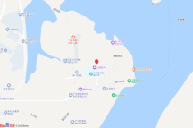 宁海县强蛟镇20-67-1地块电子地图