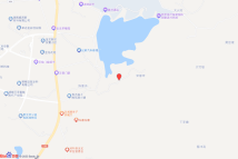 湘阴网挂（2023）09号电子地图