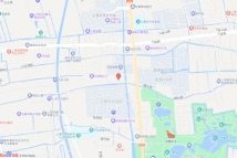 惠南新市镇宣桥21和22单元D-02地块电子地图