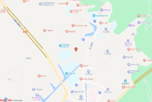 平阳县昆鳌协同发展核心区A-13-08-01地块电子地图