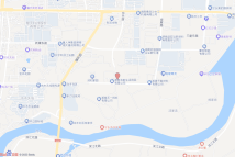 [2023]宁乡市046号电子地图