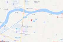 [2023]宁乡市051号电子地图