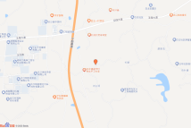 [2023]宁乡市060号电子地图