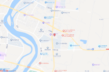 [2023]宁乡市065号电子地图