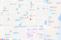 [2023]长沙县039号电子地图