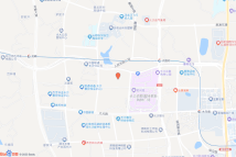 [2023]长沙县041号电子地图