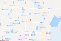 [2023]长沙县042号电子地图