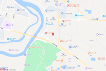 [2023]宁乡市091号电子地图