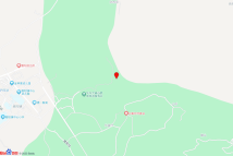 泰顺县雅阳镇A-13地块（二期）电子地图