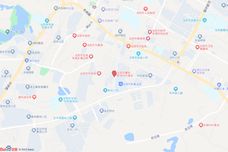 G2024-13[当阳]
