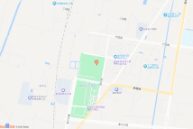 阜阳市【2024】-6电子地图