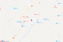 富鑫新区电子地图