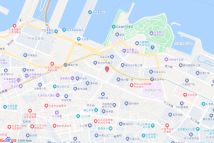 中天·央著电子地图