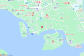 电子地图