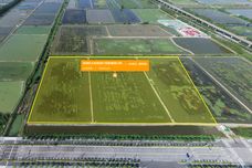 NO.高淳2024G09[高淳]