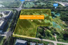 NO.高淳2024G13[高淳]