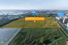 NO.高淳2024G07[高淳]