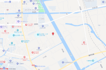 DT202405电子地图