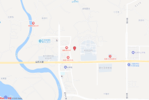 攸发2019-06号电子地图