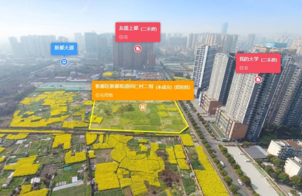 新都区新都街道同仁村二组实景图