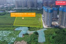 NO.高淳2024G04[高淳]