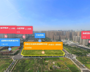 西派善成4室2厅南北