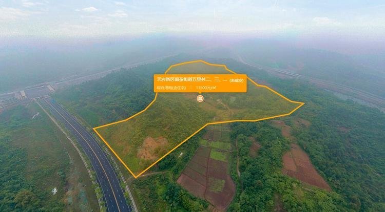 天府新区煎茶街道五里村二、三、四组实景图