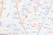 电子地图