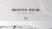 银丰玖玺臺