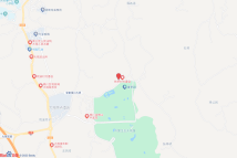 南川区大观镇铁桥村6社(大观花木城分区F6-1/02地块)