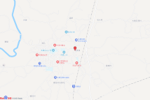 G(2024)13号电子地图