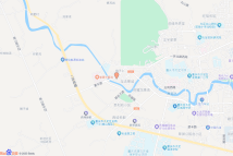 2438电子地图