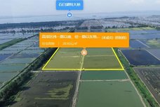 NO.高淳2024G17[高淳]