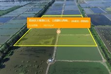 高淳区文枢路以北、公园路以西地块(高职园4-1)地块[高淳]