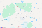 电子地图