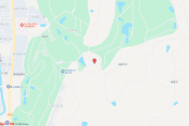 电子地图