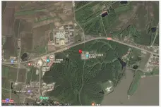 宾县宾州镇二龙山村[宾县]