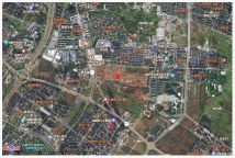 龙泉驿区大面街道东洪社区、陵川社区、洪柳社区电子地图