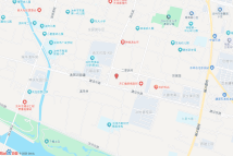 江上百合
