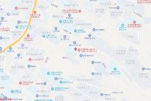 天山印电子地图