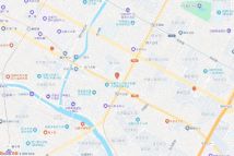 锦江区光明巷电子地图