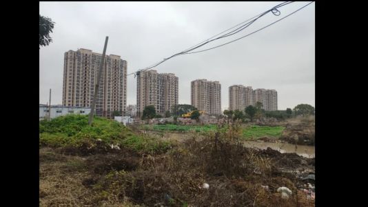 直播封面