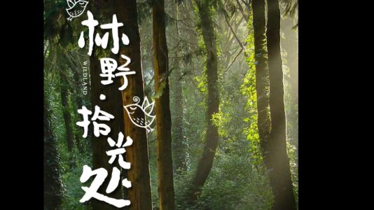 直播封面